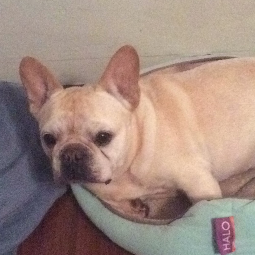 Meet your Posher, Julie